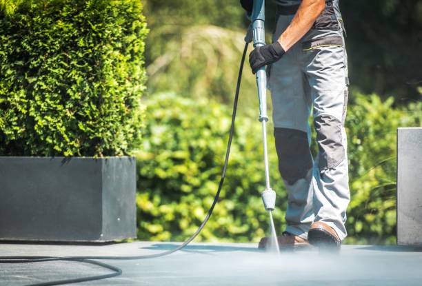 Professional  Pressure Washing Services in New Union, TN
