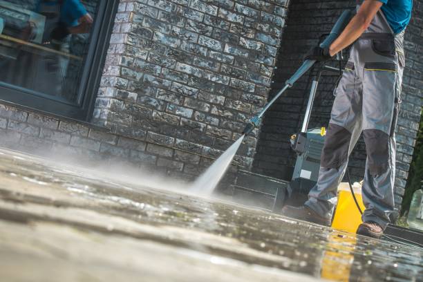 Animal Enclosure Cleaning in New Union, TN